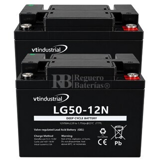 2 Bater�as Veh�culo El�ctrico | GEL 12V 50Ah VT